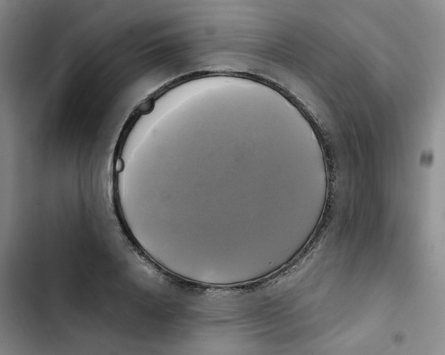 X0000102840840200809151102