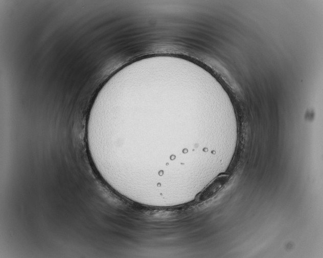 X0000102840841200809151102