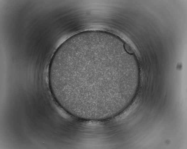 X0000102840842200809151102