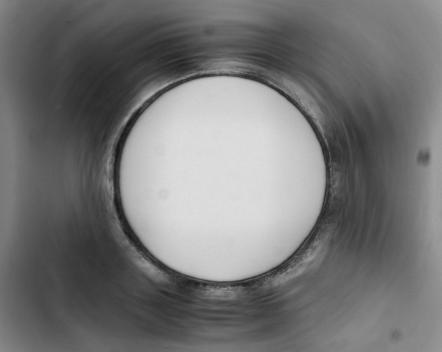 X0000102840843200809151102