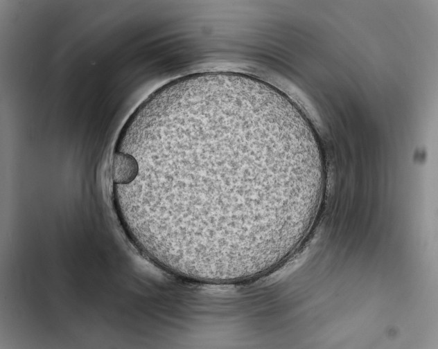 X0000102840844200809151102