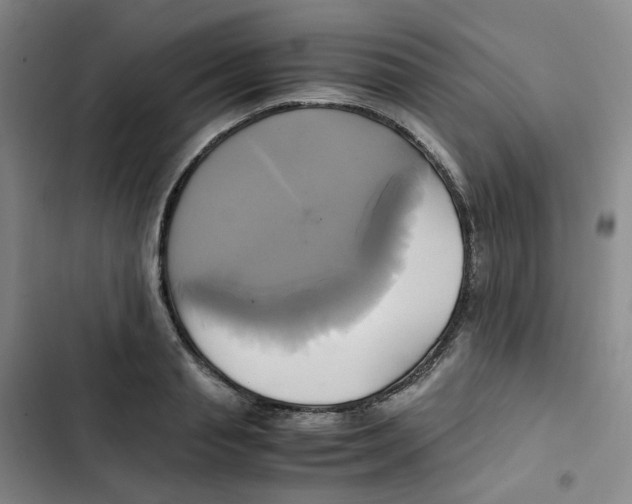 X0000102840845200809151102