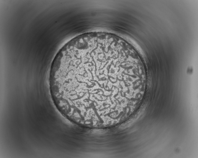 X0000102840847200809151102