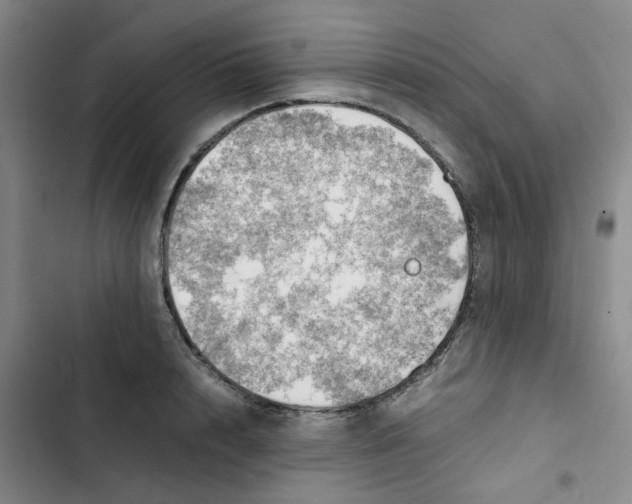 X0000102840848200809151102