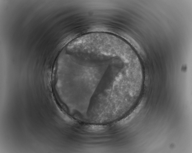 X0000102840849200809151102