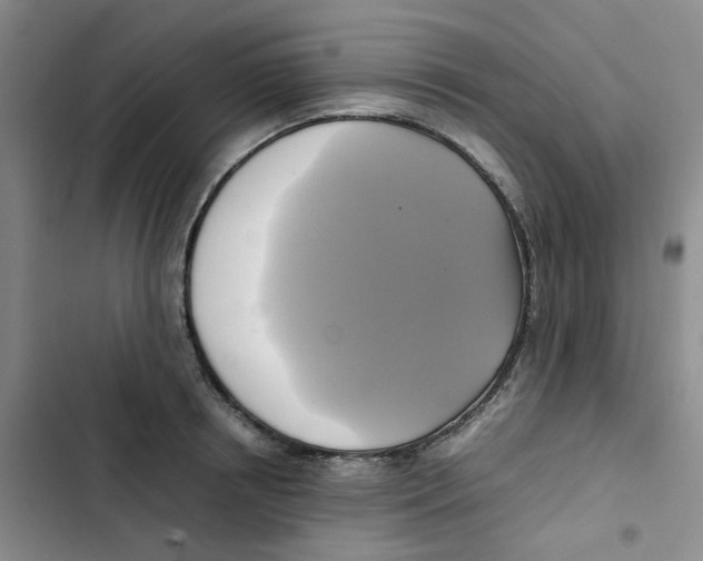 X0000102840850200809151102