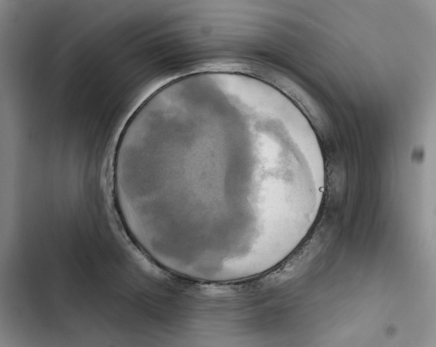 X0000102840852200809151102