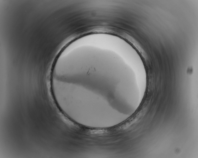 X0000102840853200809151102