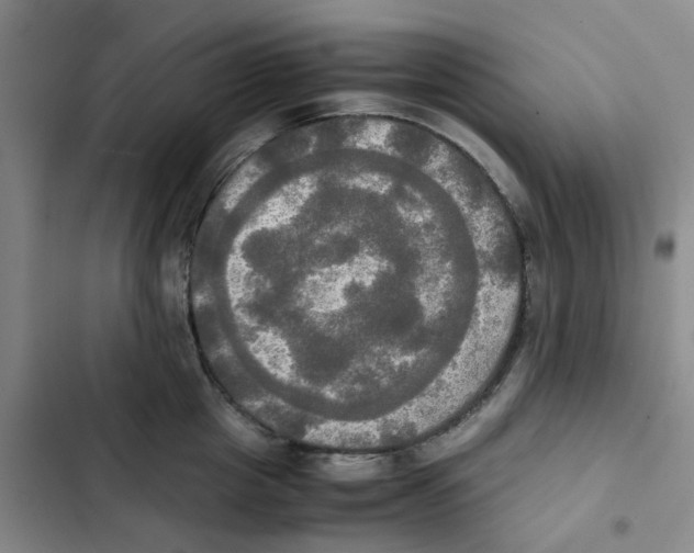 X0000102840857200809151102