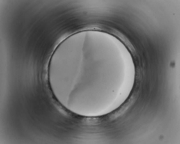 X0000102840858200809151102