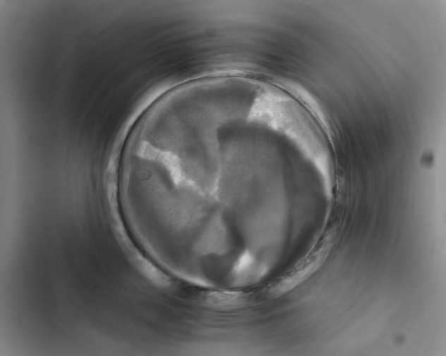 X0000102840859200809151102