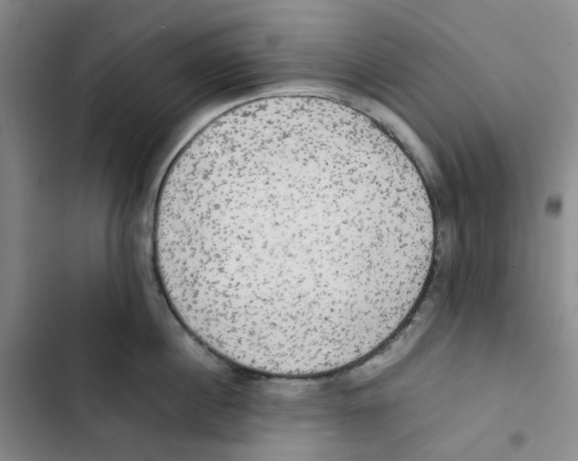 X0000102840860200809151102