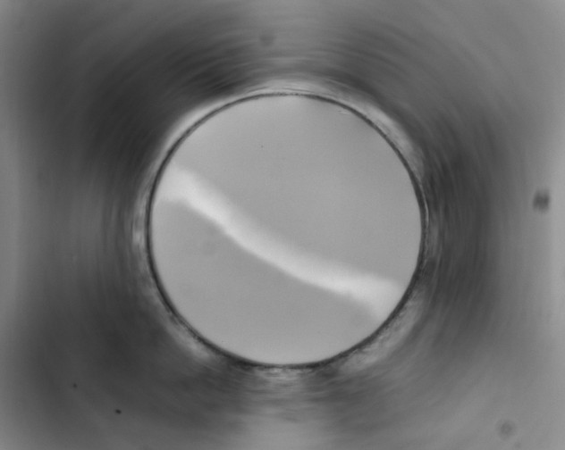 X0000102840862200809151102