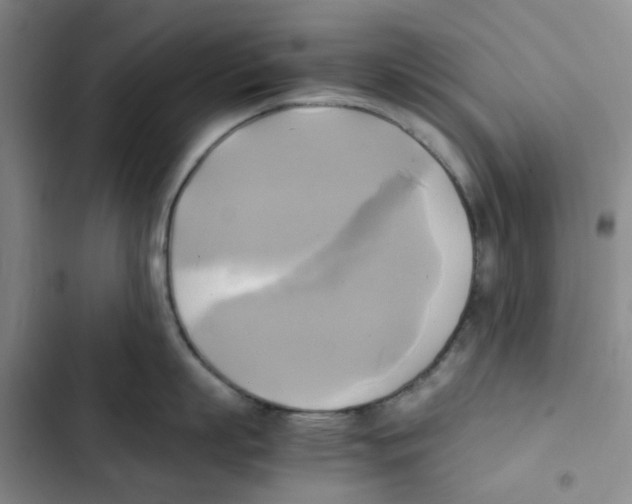 X0000102840863200809151102