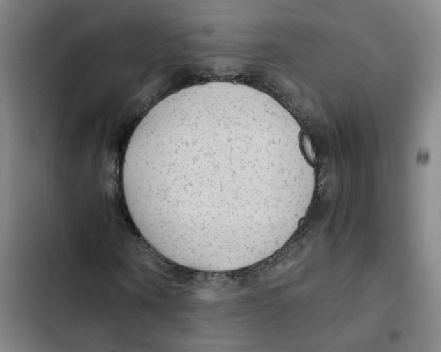 X0000102840866200809151102