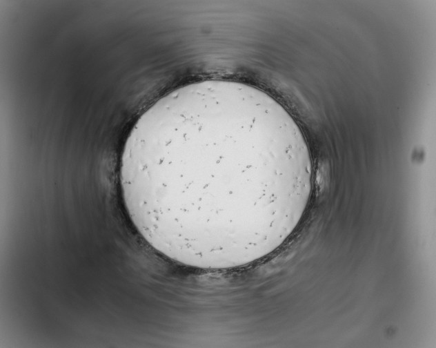 X0000102840867200809151102