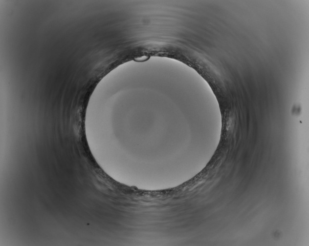 X0000102840868200809151102