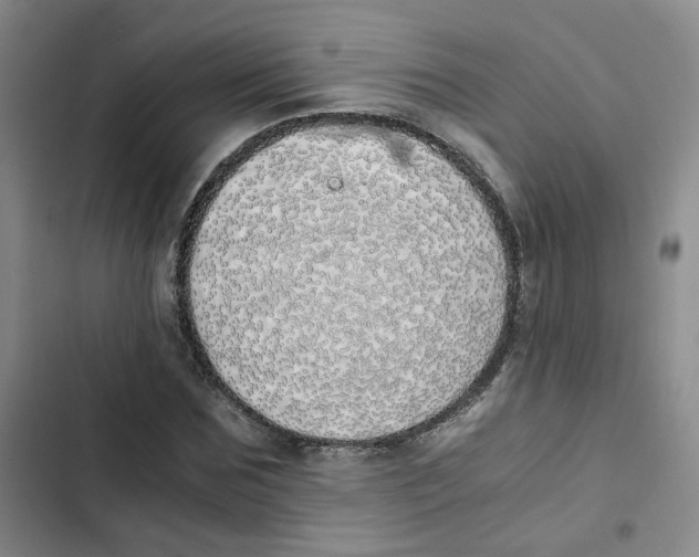 X0000102840875200809151101