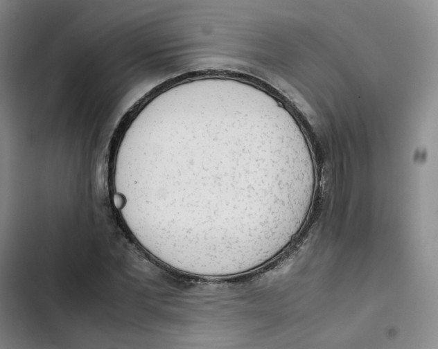 X0000102840877200809151101