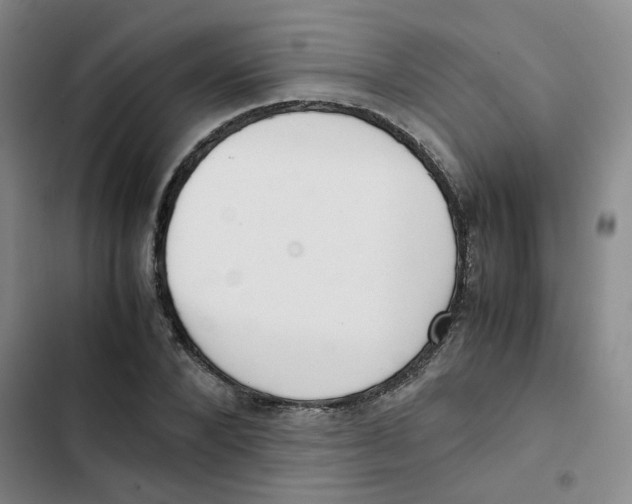 X0000102840880200809151101