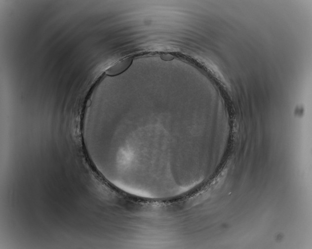 X0000102840881200809151101