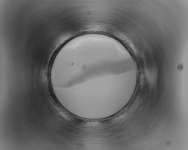 X0000102840882200809151101