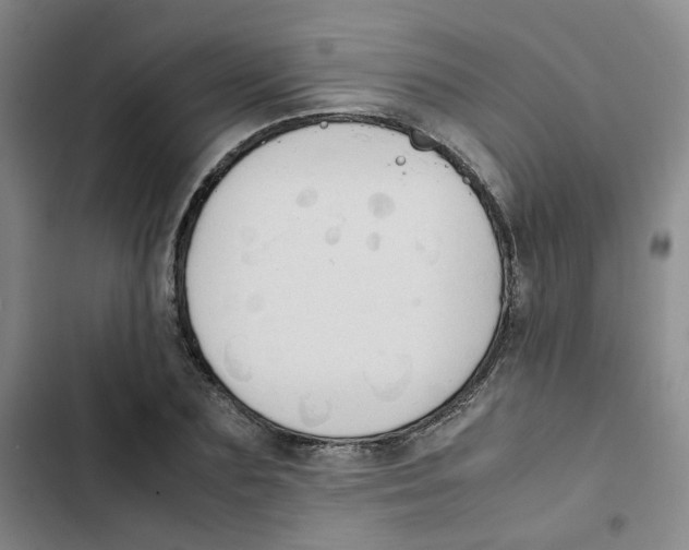 X0000102840883200809151101