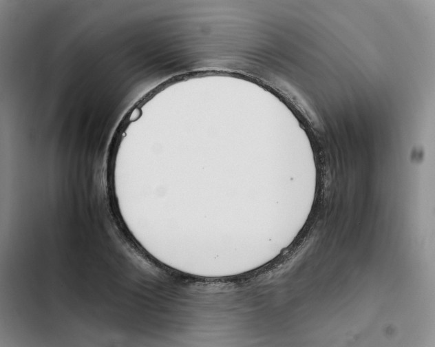 X0000102840884200809151101