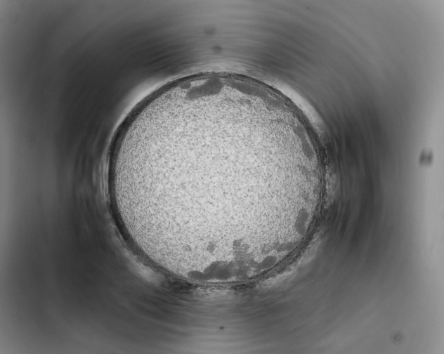 X0000102840886200809151101