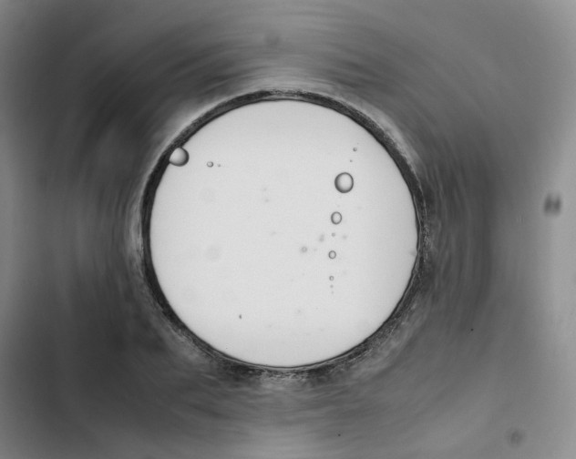 X0000102840887200809151101