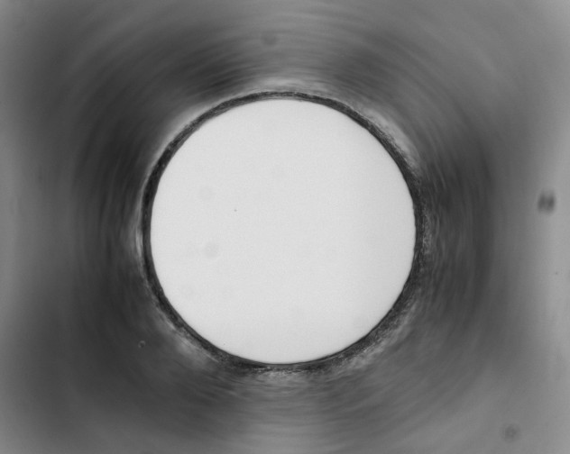 X0000102840888200809151101