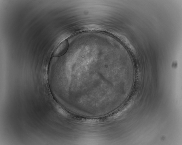 X0000102840889200809151101