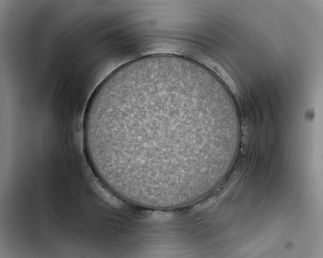 X0000102840890200809151101