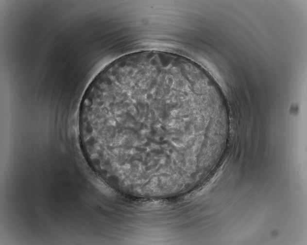 X0000102840891200809151101