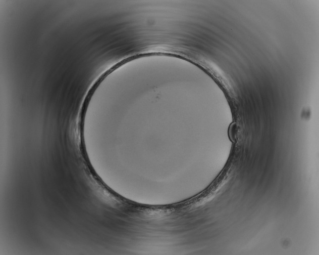 X0000102840892200809151101