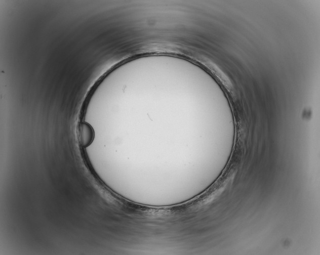 X0000102840893200809151101