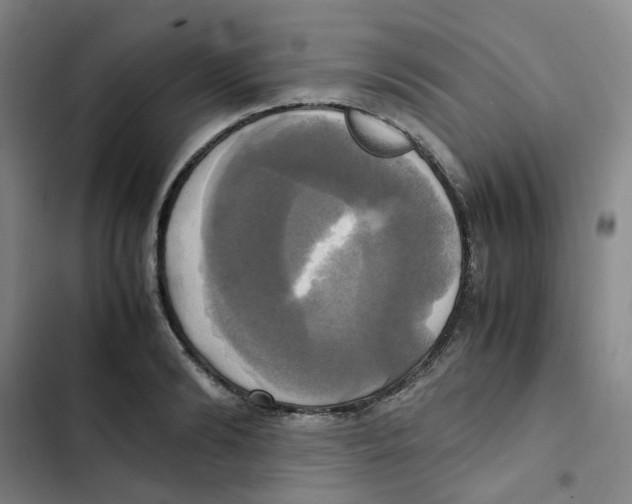 X0000102840894200809151101