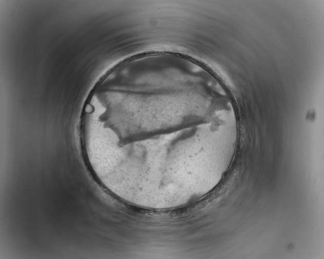 X0000102840895200809151101