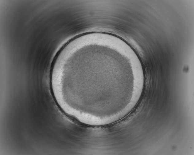 X0000102840896200809151101