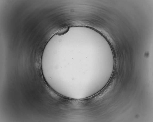 X0000102840897200809151101