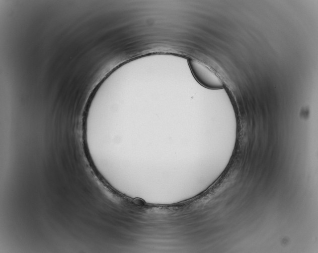 X0000102840898200809151101