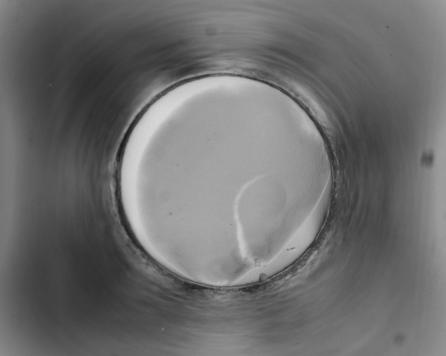 X0000102840899200809151101