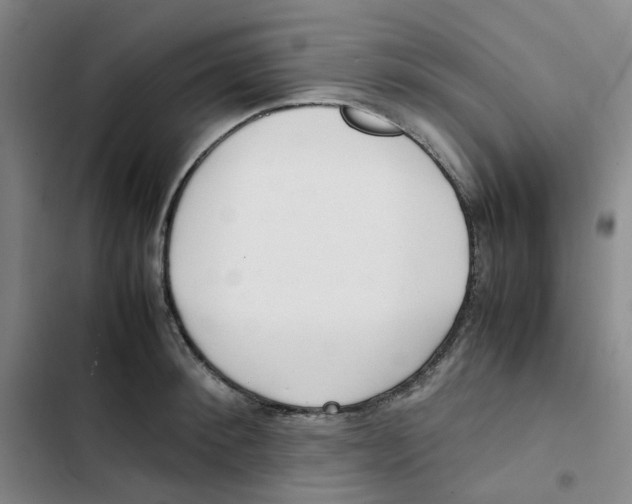 X0000102840900200809151101