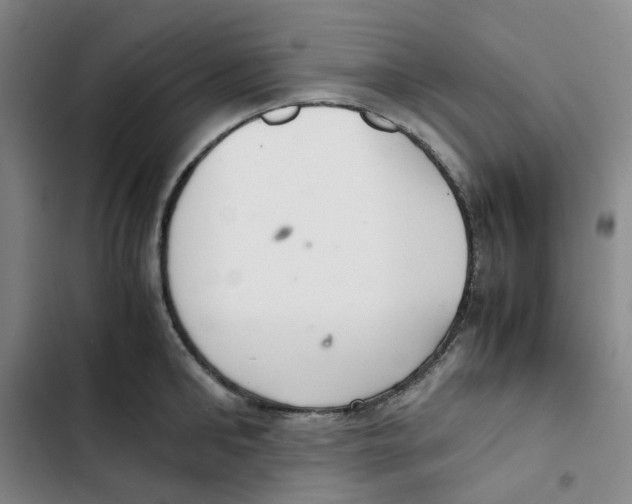 X0000102840902200809151101