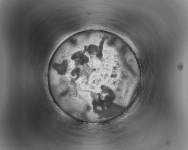 X0000102840903200809151101