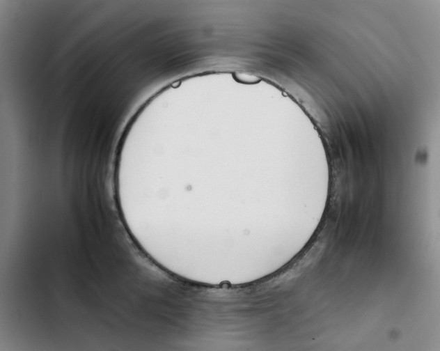 X0000102840904200809151101