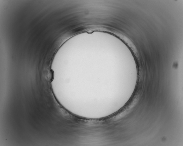 X0000102840905200809151101