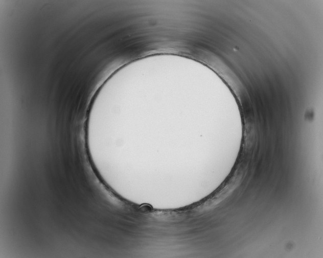 X0000102840906200809151101