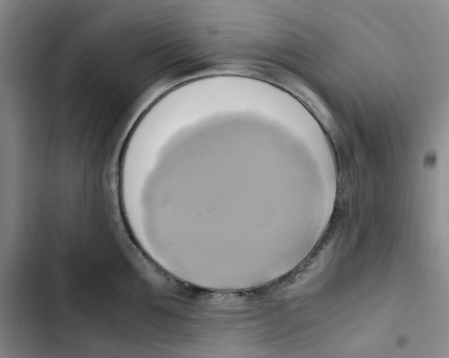 X0000102840907200809151101