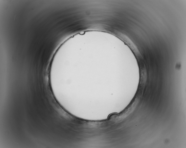 X0000102840908200809151101